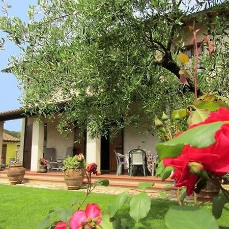 Casa Vacanze Lulu กาไมโยเร ภายนอก รูปภาพ