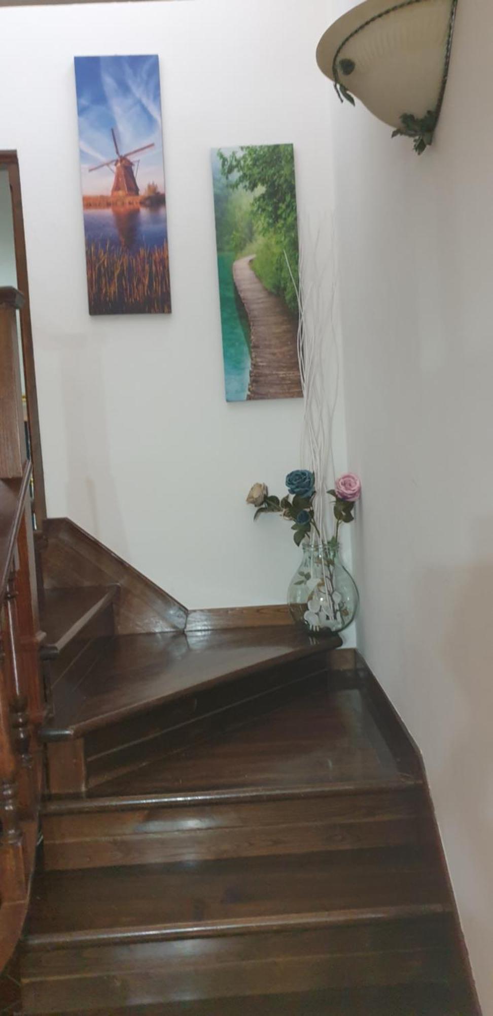 Casa Vacanze Lulu กาไมโยเร ภายนอก รูปภาพ